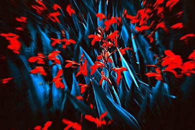 《星空》M站玩家评分解禁：口碑两极分化 优缺点明显