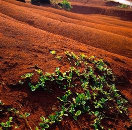 《女神异闻录3：Reload》新角色预告：桐条美鹤