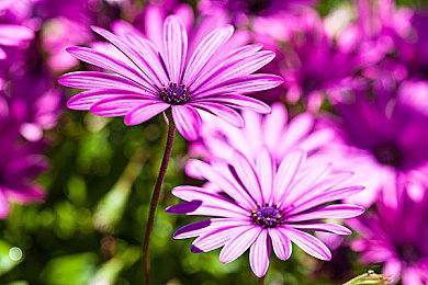 PlayStation将实现DualSense手柄多设备同时连接